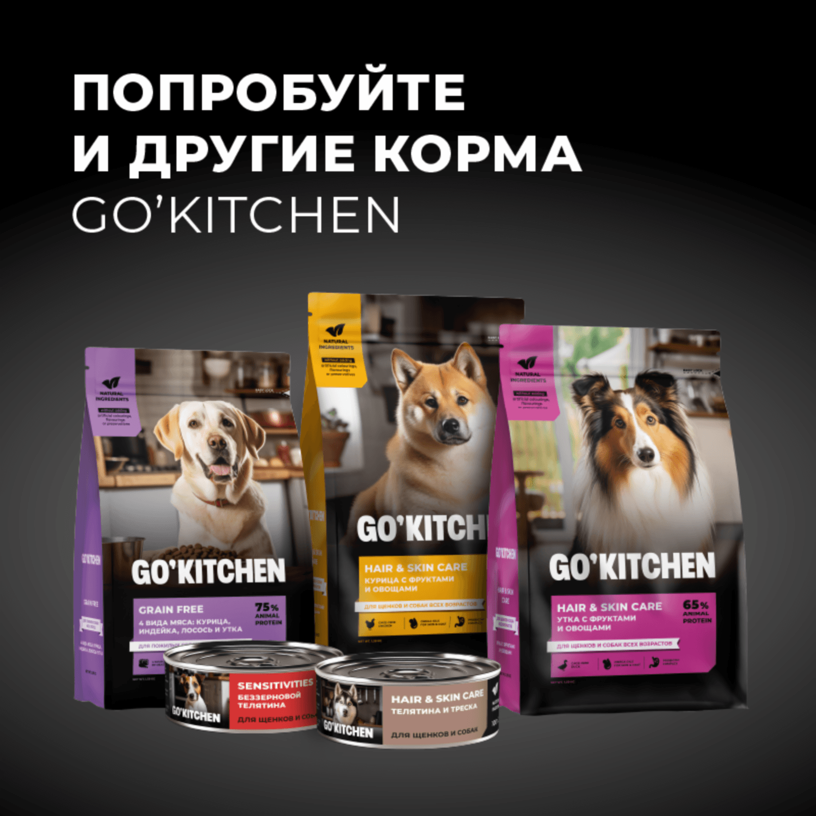 https://9ep5rgpevc.a.trbcdn.net/prd-jav-crm-content/viewContent/125290/1600/47fd8d41-ae01-4047-98a3-5ed5ff00bf43.png