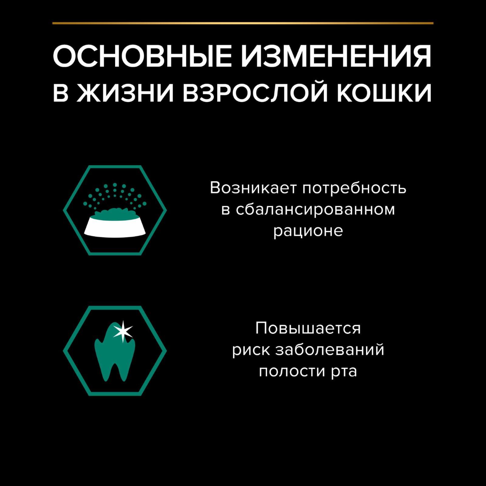 https://9ep5rgpevc.a.trbcdn.net/prd-jav-crm-content/viewContent/126507/1600/a9ab44ed-8818-4471-8cfb-e0e393dc98ed.jpg
