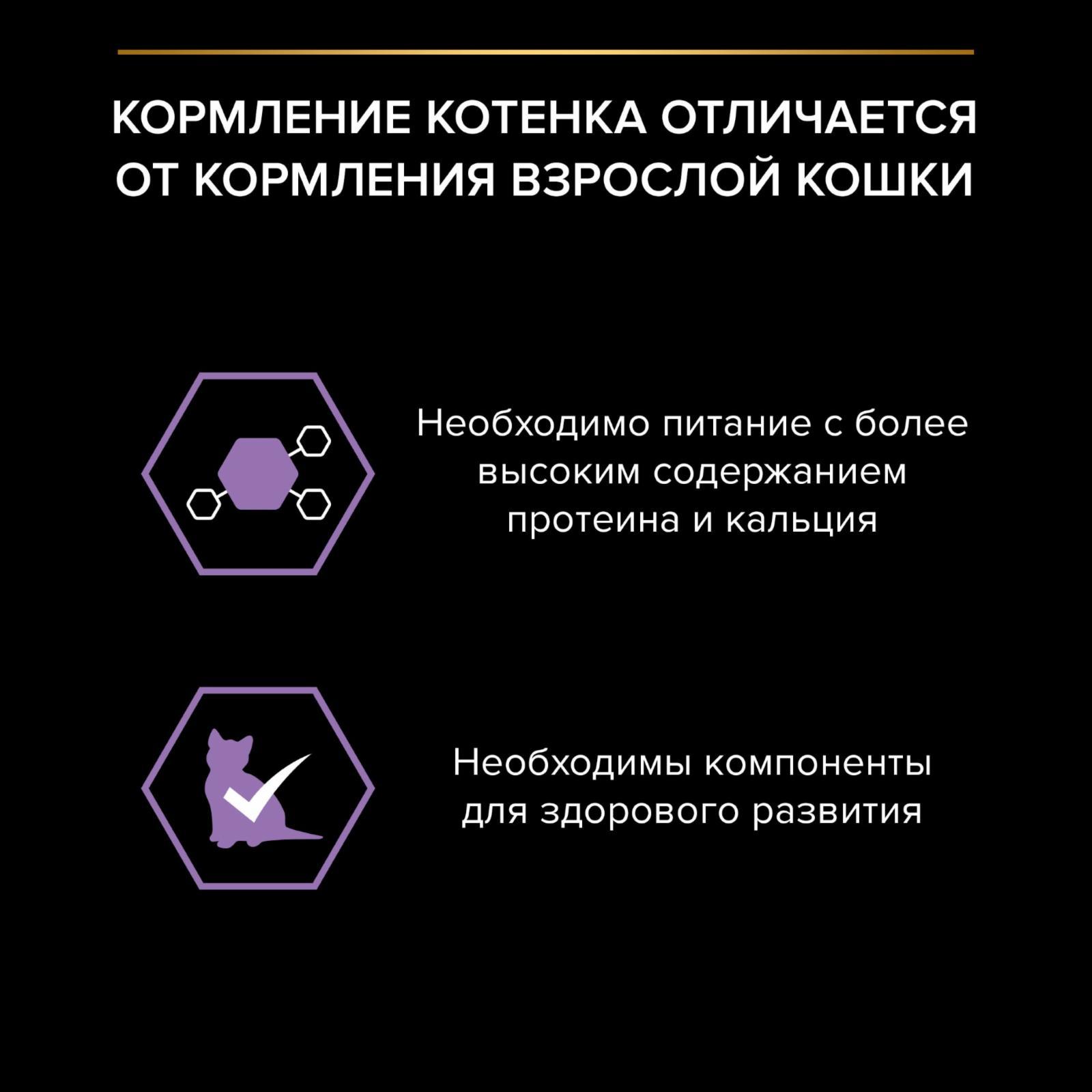https://9ep5rgpevc.a.trbcdn.net/prd-jav-crm-content/viewContent/126509/1600/2ab06f93-8ca8-4fe3-a2b6-41cb850213b9.jpg