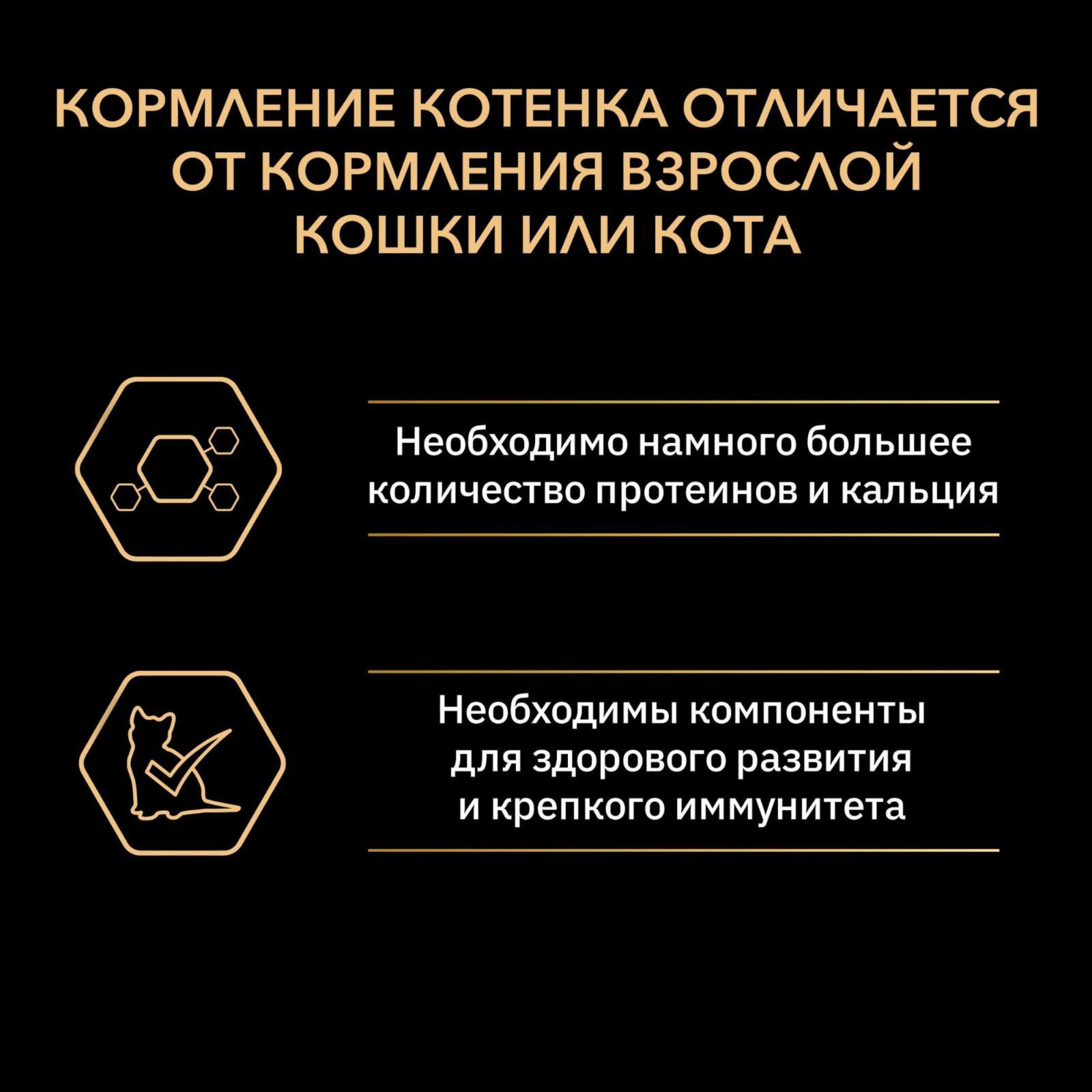 https://9ep5rgpevc.a.trbcdn.net/prd-jav-crm-content/viewContent/1313/1600/97f9d27d5f7ba717f422316f4eb770d2.jpeg