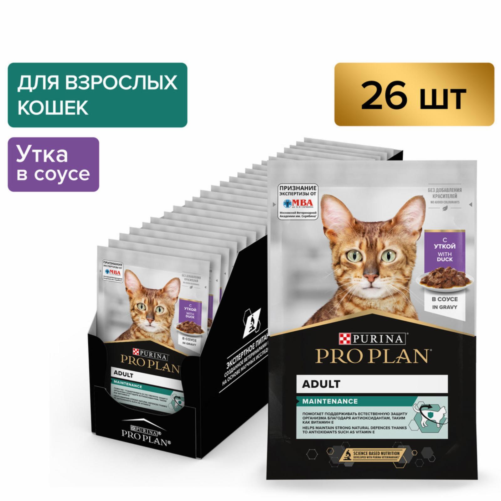 https://9ep5rgpevc.a.trbcdn.net/prd-jav-crm-content/viewContent/66277/1600/f432b675ce95a2936ee1eb3a28f4a843.jpeg