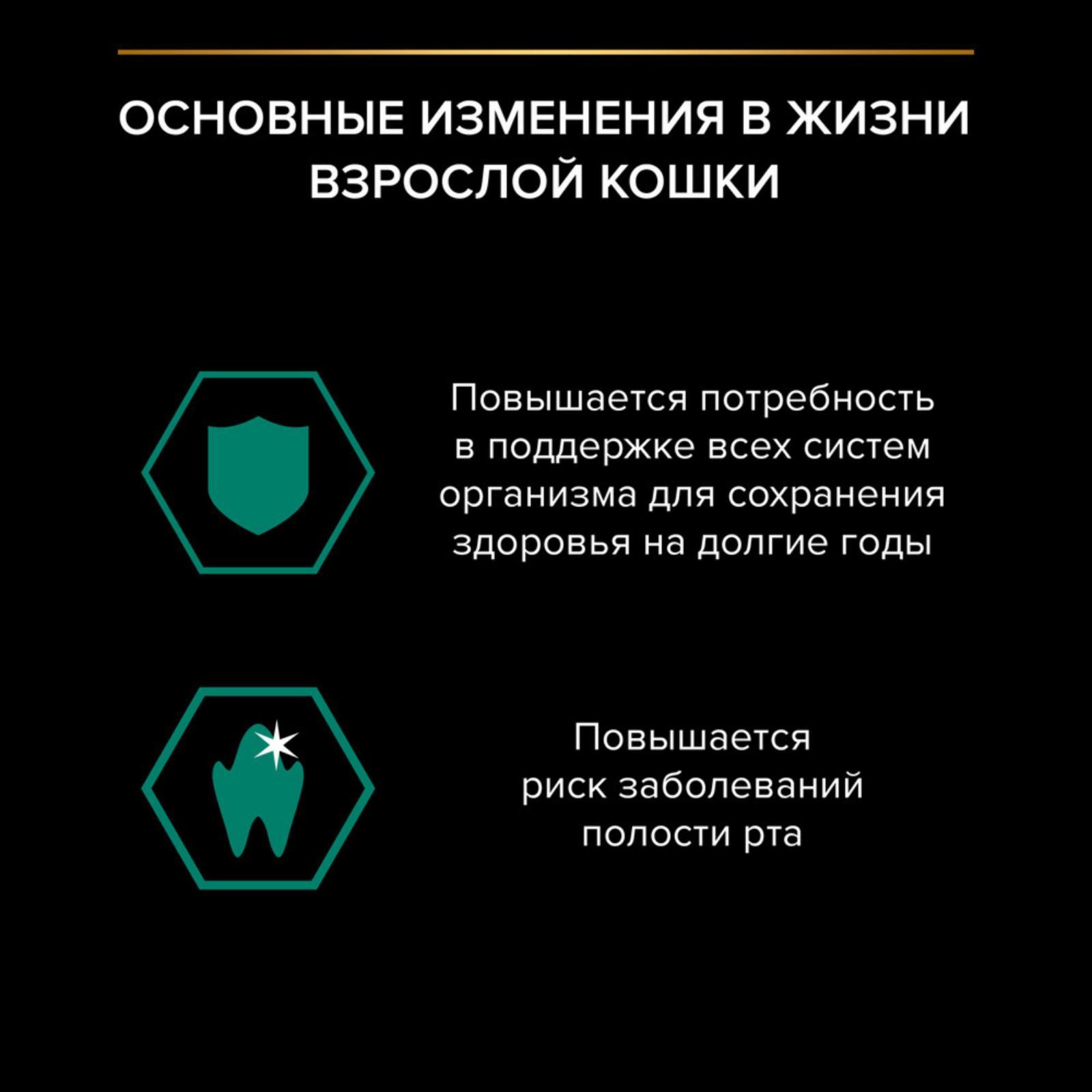 https://9ep5rgpevc.a.trbcdn.net/prd-jav-crm-content/viewContent/66277/1600/fe22a55f96eb0656ff2d4d04d2e43d67.jpeg