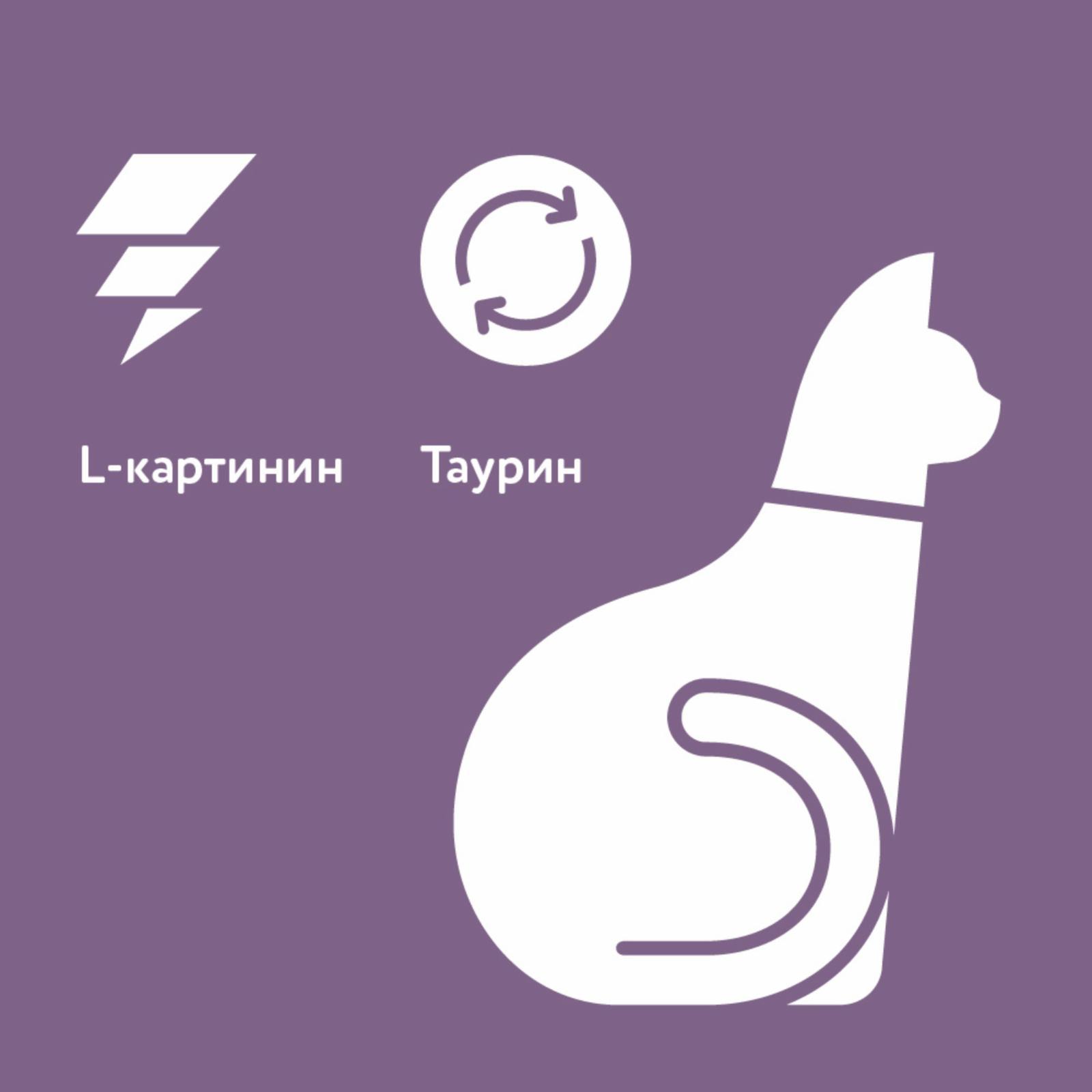 https://9ep5rgpevc.a.trbcdn.net/prd-jav-crm-content/viewContent/88182/1600/ff9d272ff445c8090fabd1f631a6b77d.jpg