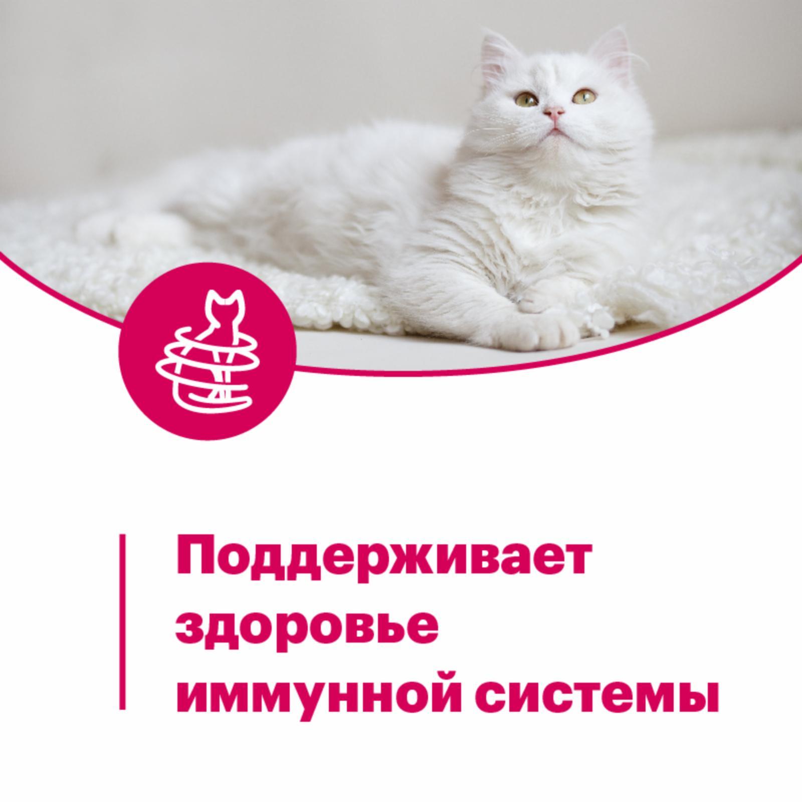 https://9ep5rgpevc.a.trbcdn.net/prd-jav-crm-content/viewContent/89061/1600/e3e09f0f-52ab-4743-866b-78dcc1a1c2e3.jpg