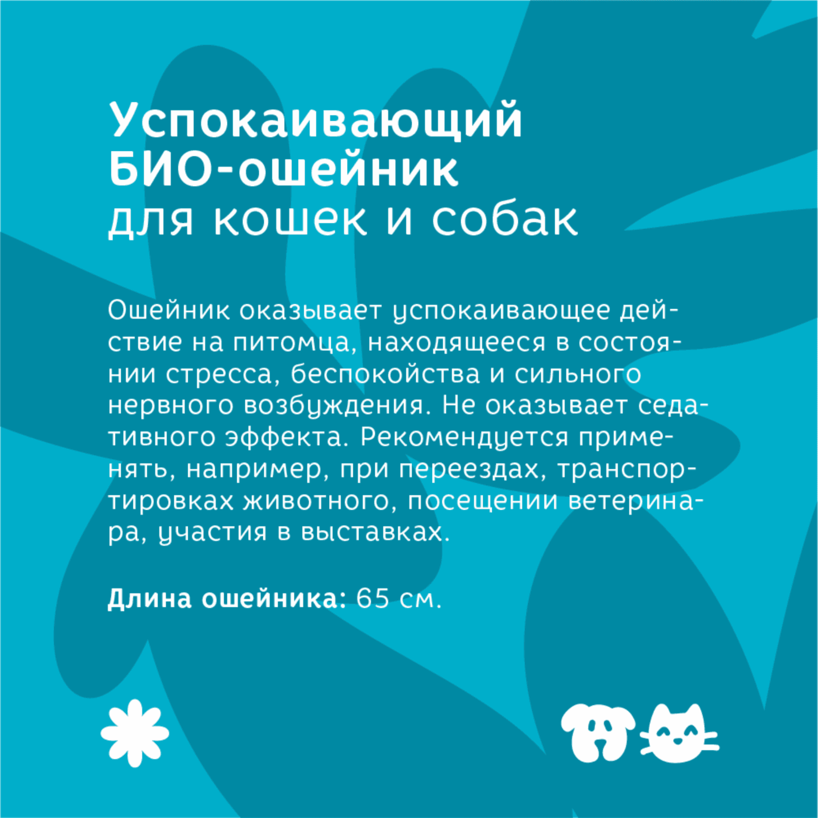 https://9ep5rgpevc.a.trbcdn.net/prd-jav-crm-content/viewContent/89245/1600/769e7a9195328aa6a88f1f91e161bbfa.png